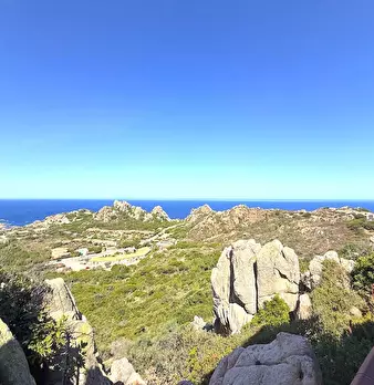 Foto annuncio 38
