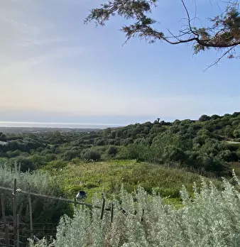 Foto annuncio 21