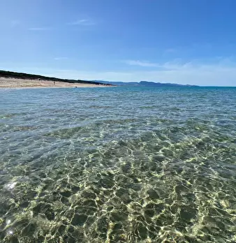 Foto annuncio 18