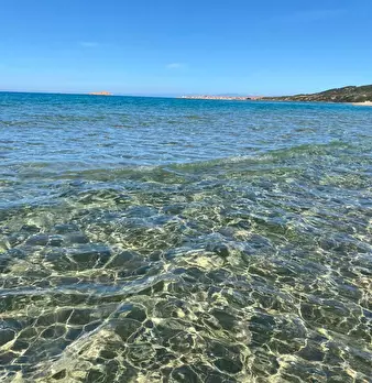 Foto annuncio 28