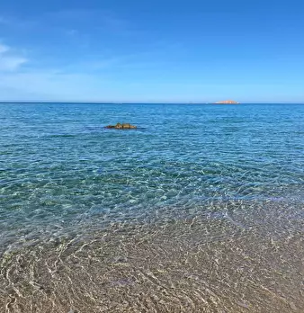Foto annuncio 29