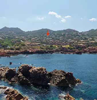 Foto annuncio 7