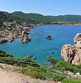 Foto annuncio 49