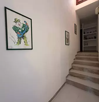 Foto annuncio 35