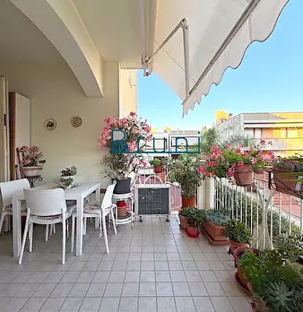 Foto annuncio 6