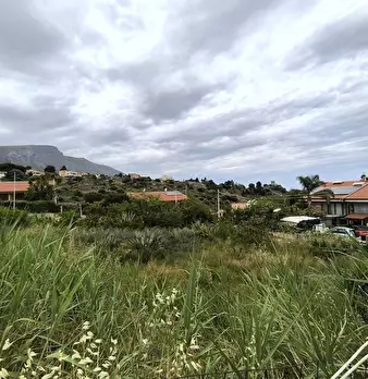 Foto annuncio 4