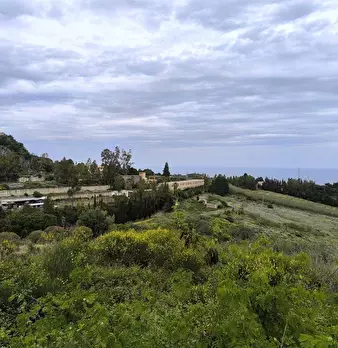 Foto annuncio 12