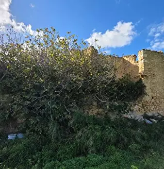 Foto annuncio 6