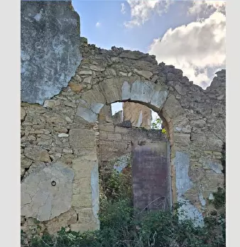 Foto annuncio 7