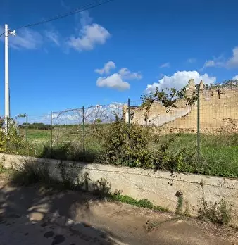 Foto annuncio 8