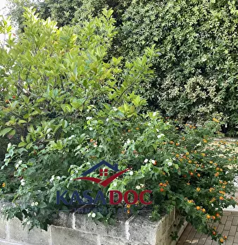 Foto annuncio 37