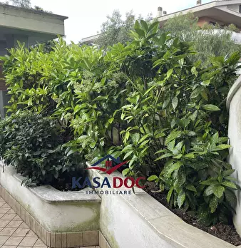 Foto annuncio 29
