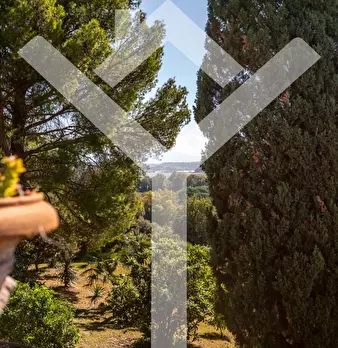 Foto annuncio 39