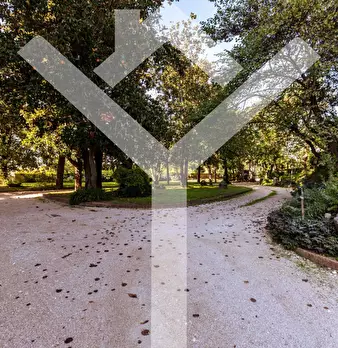 Foto annuncio 47