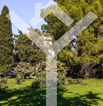 Foto annuncio 50