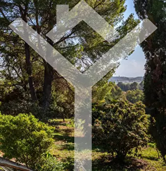 Foto annuncio 53