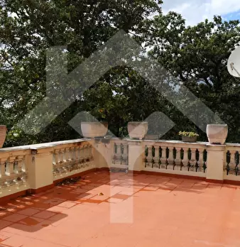 Foto annuncio 32