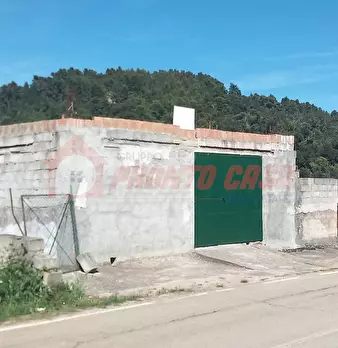 Foto annuncio 5