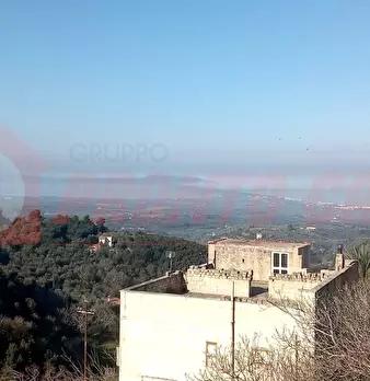 Foto annuncio 4