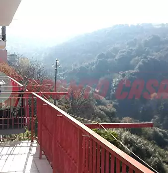 Foto annuncio 14