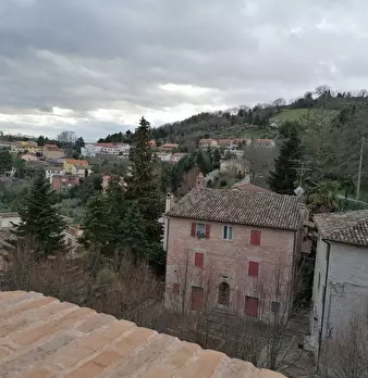 Foto annuncio 22