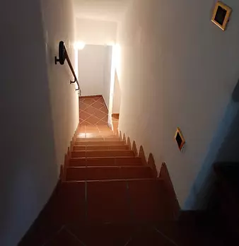 Foto annuncio 48