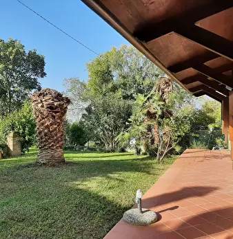 Foto annuncio 56