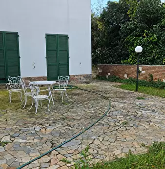 Foto annuncio 45
