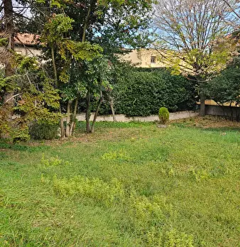 Foto annuncio 47