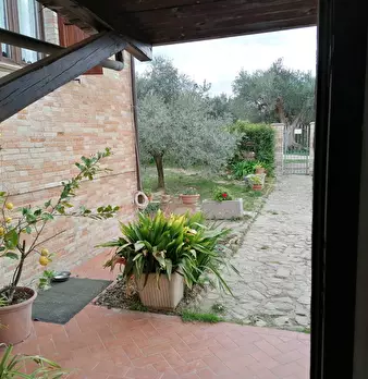 Foto annuncio 4