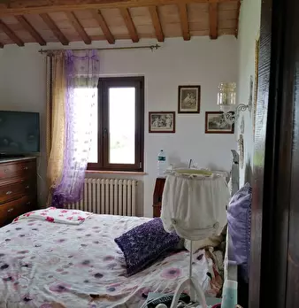 Foto annuncio 36