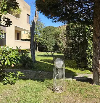 Foto annuncio 52