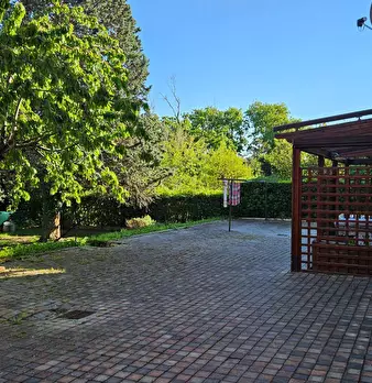 Foto annuncio 11