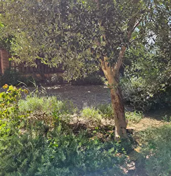Foto annuncio 2