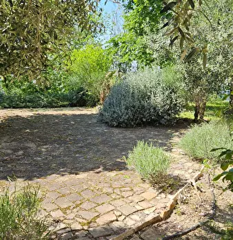 Foto annuncio 7