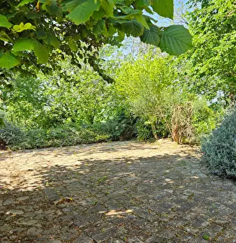 Foto annuncio 9