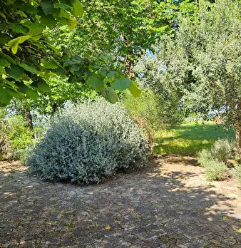 Foto annuncio 10