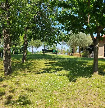 Foto annuncio 17