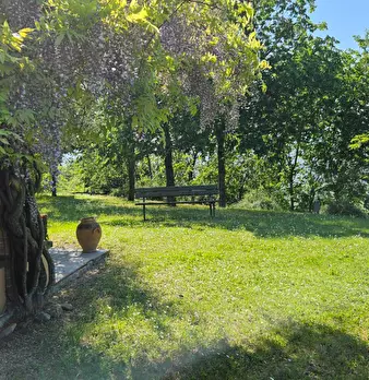 Foto annuncio 27