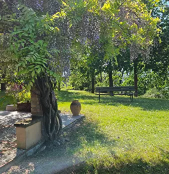 Foto annuncio 28