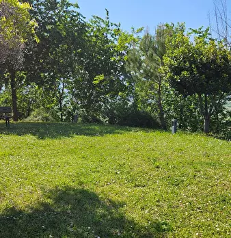 Foto annuncio 29