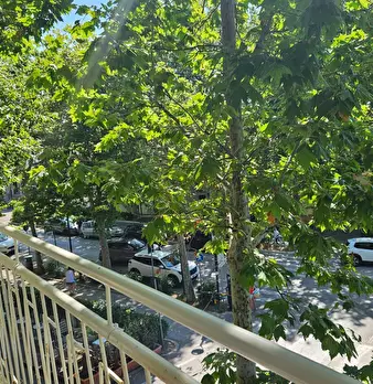 Foto annuncio 6