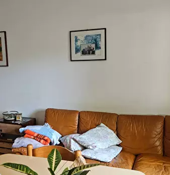 Foto annuncio 12