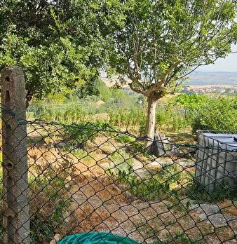 Foto annuncio 1