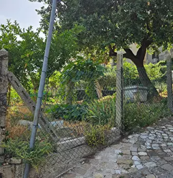 Foto annuncio 4