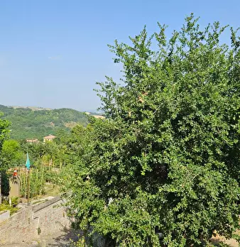 Foto annuncio 18