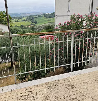 Foto annuncio 23