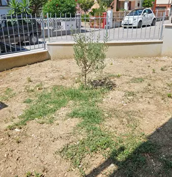 Foto annuncio 35