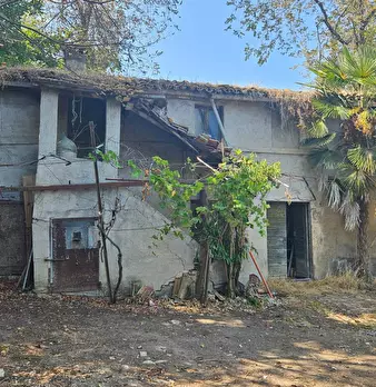 Foto annuncio 9