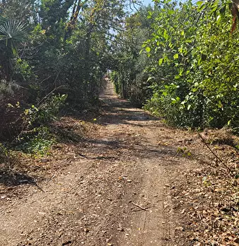 Foto annuncio 11
